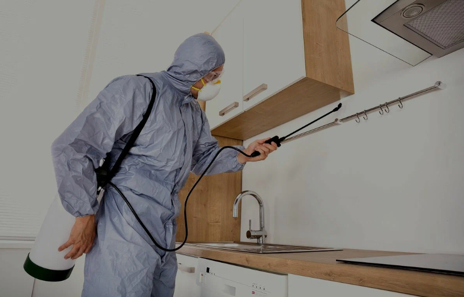 Banning pest managment